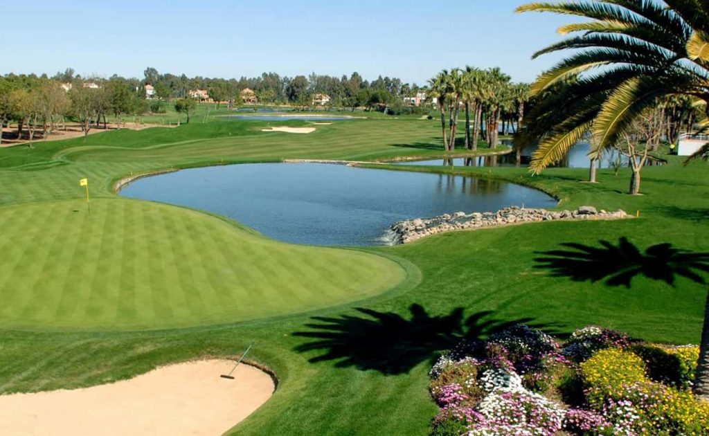 campo golf