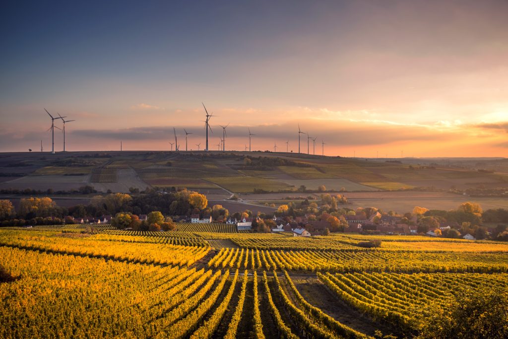 Beneficios de ser respetuoso con el medio ambiente